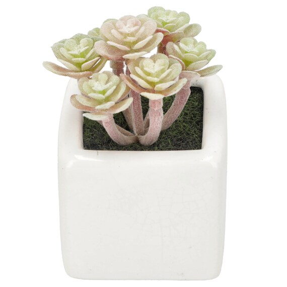 消臭剤配合グリーン(3個セット) 9枚目画像