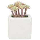 消臭剤配合グリーン(3個セット) 10枚目画像