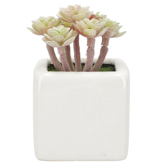 消臭剤配合グリーン(3個セット) 10枚目画像