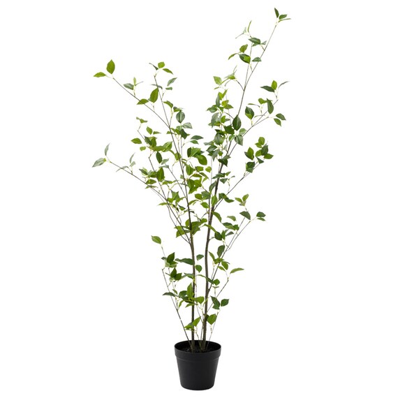 消臭剤配合立木 グリーン (フィカス HA17) 1枚目画像