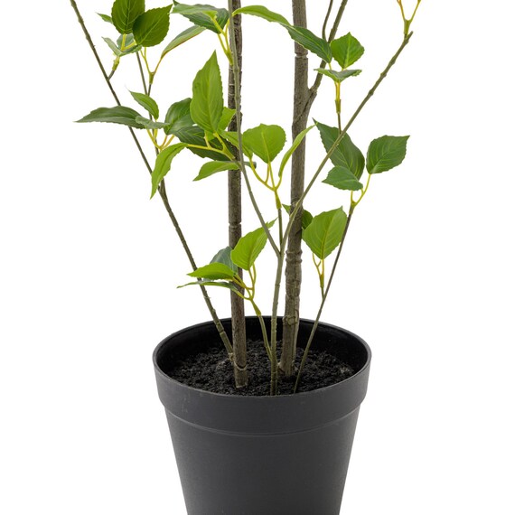 消臭剤配合立木 グリーン (フィカス HA17) 2枚目画像