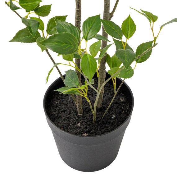 消臭剤配合立木 グリーン (フィカス HA17) 3枚目画像