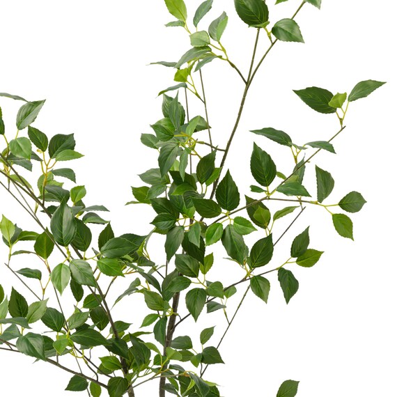 消臭剤配合立木 グリーン (フィカス HA17) 4枚目画像