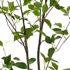 消臭剤配合立木 グリーン (フィカス HA17) 6枚目画像