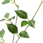 消臭剤配合立木 グリーン (フィカス HA17) 7枚目画像