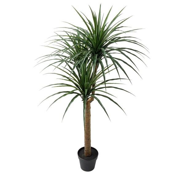 消臭剤配合立木グリーン(ドラセナ HA18) 2枚目画像