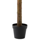 消臭剤配合立木グリーン(ドラセナ HA18) 4枚目画像