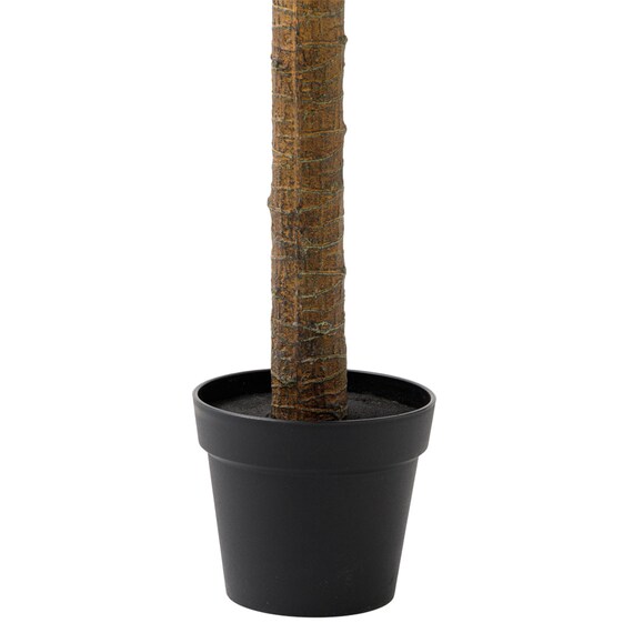 消臭剤配合立木グリーン(ドラセナ HA18) 4枚目画像