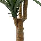 消臭剤配合立木グリーン(ドラセナ HA18) 6枚目画像