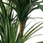 消臭剤配合立木グリーン(ドラセナ HA18) 7枚目画像