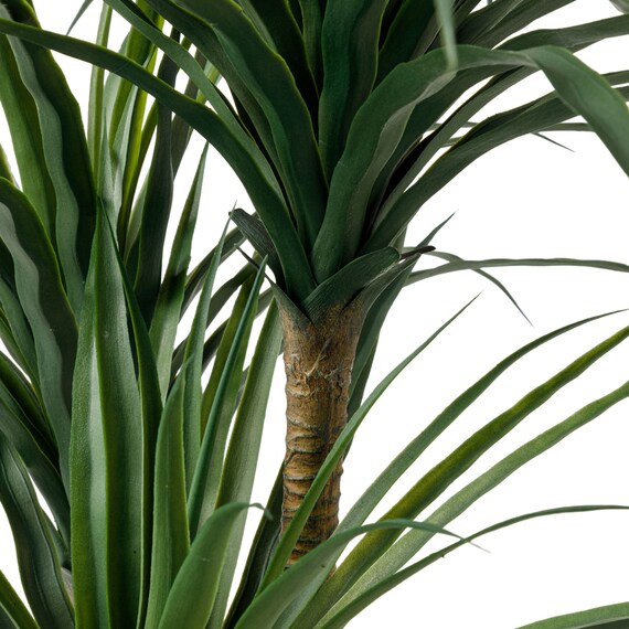 消臭剤配合立木グリーン(ドラセナ HA18) 7枚目画像