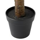 消臭剤配合立木グリーン(ドラセナ HA18) 8枚目画像