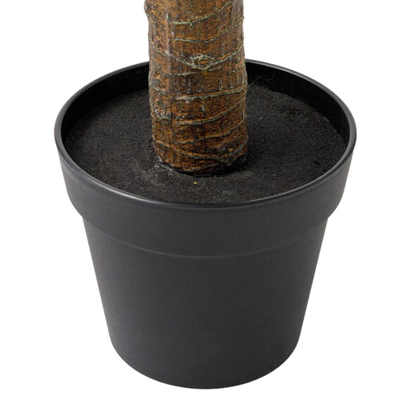 消臭剤配合立木グリーン(ドラセナ HA18) 8枚目画像