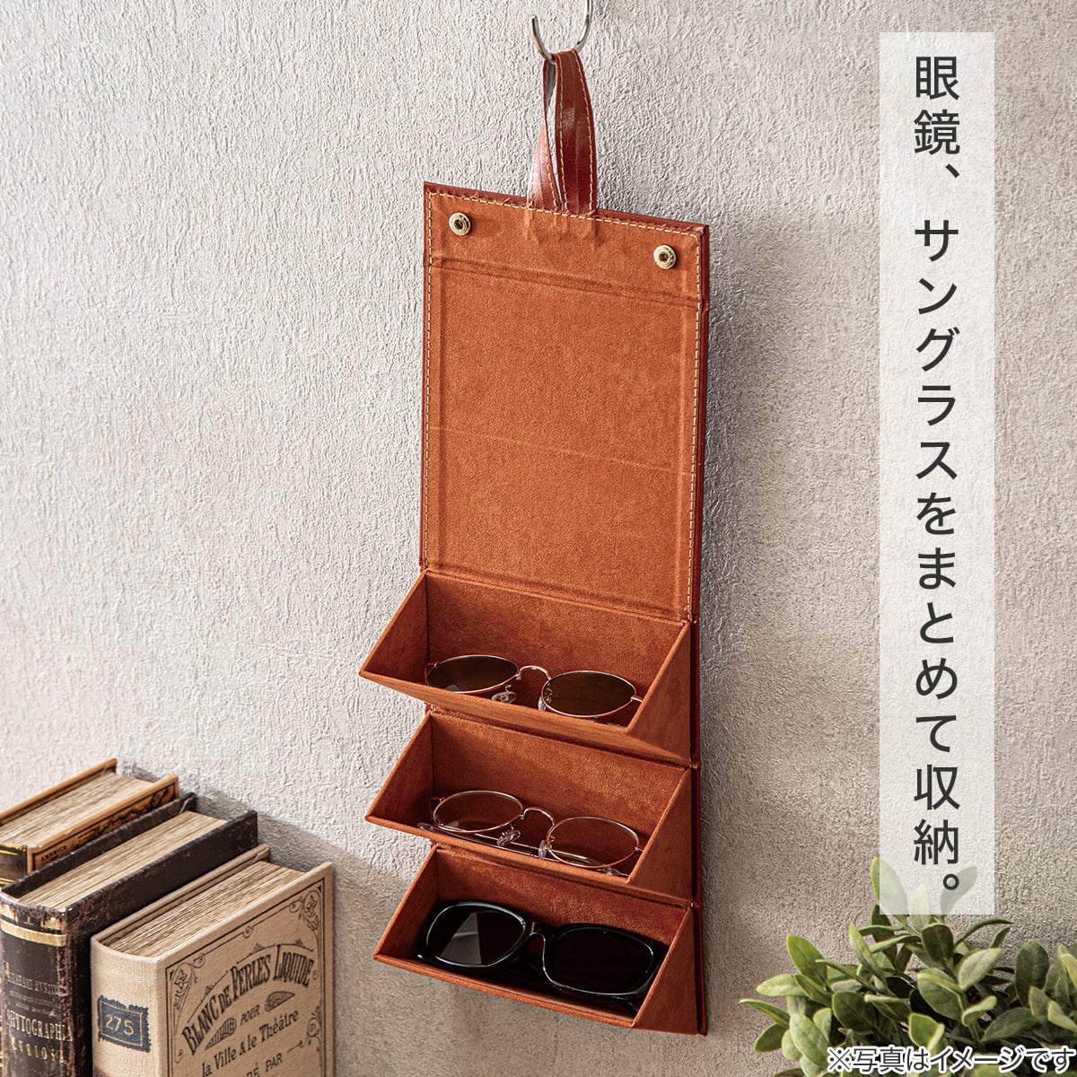 眼鏡コレクションケース(ブラウン NH35) | ニトリネット【公式】 家具