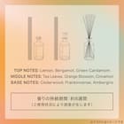 エモーショナル コンフォート ディフューザー(BLACK TEA 200ml CO15) 3枚目画像