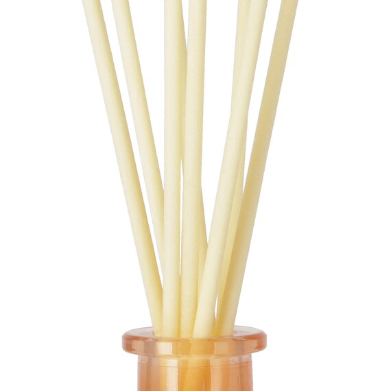 エモーショナル コンフォート ディフューザー(BLACK TEA  200ml CO15) 8枚目画像