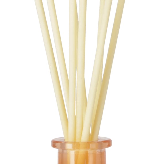 エモーショナル コンフォート ディフューザー(BLACK TEA 200ml CO15) 8枚目画像