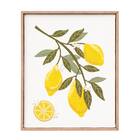 ウォールデコレーション(レモン刺繍) 1枚目画像