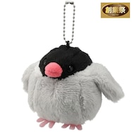 チャーム(サクラブンチョウ)【期間限定価格:11/25~1/5まで】