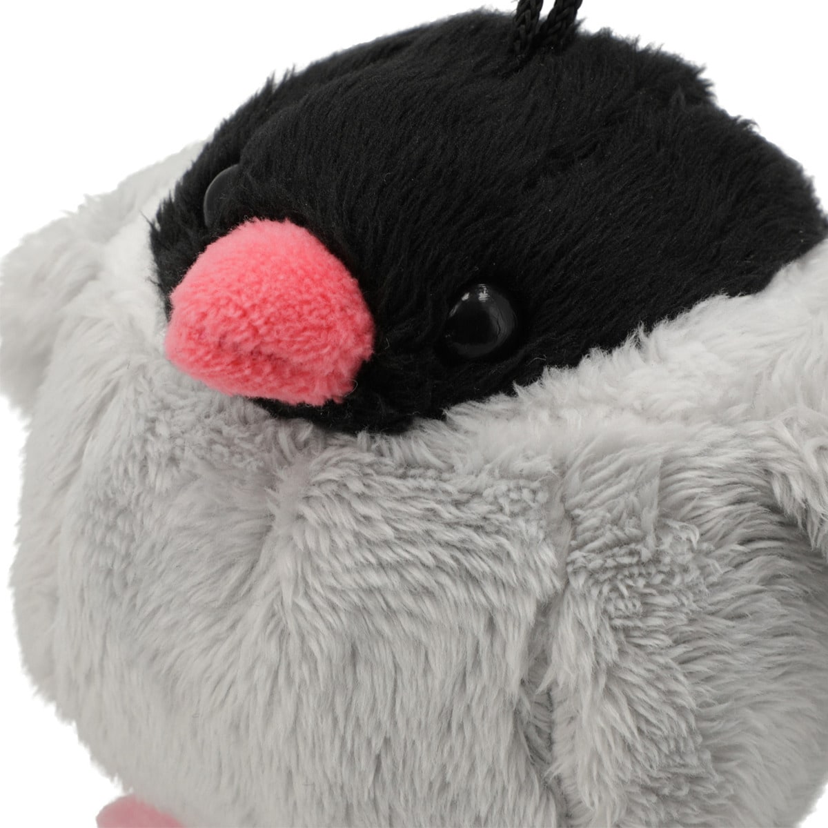 チャーム(桜文鳥) | ニトリネット【公式】 家具・インテリア通販