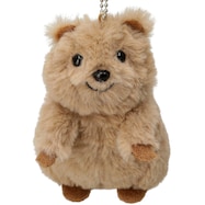 チャーム クオッカ