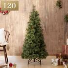 ヌードツリー ベルフォレGR(120cm n4GW) 1枚目画像