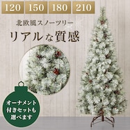 ヌードツリー ベルフォレスノー(n4GW)