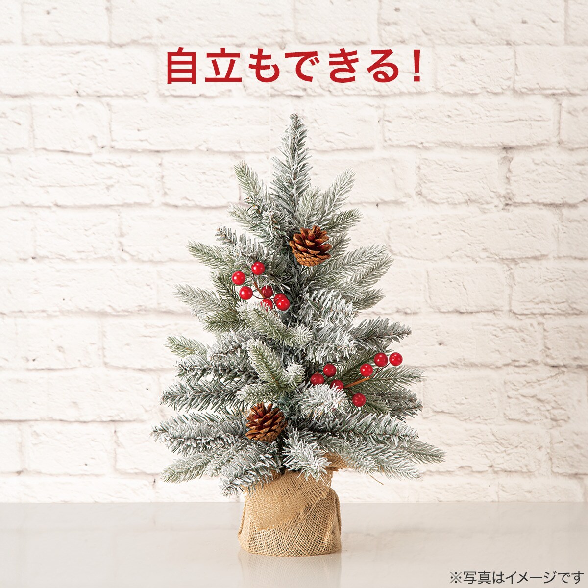 壁掛けツリー スノー(45cm n4GW) | ニトリネット【公式】 家具