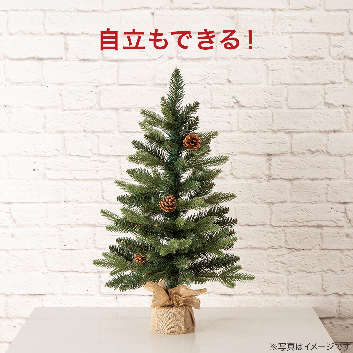 壁掛けツリー(65cm n4GW) | ニトリネット【公式】 家具・インテリア通販