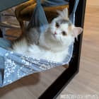 接触冷感ペットハンモック (Nクール S251) 3枚目画像