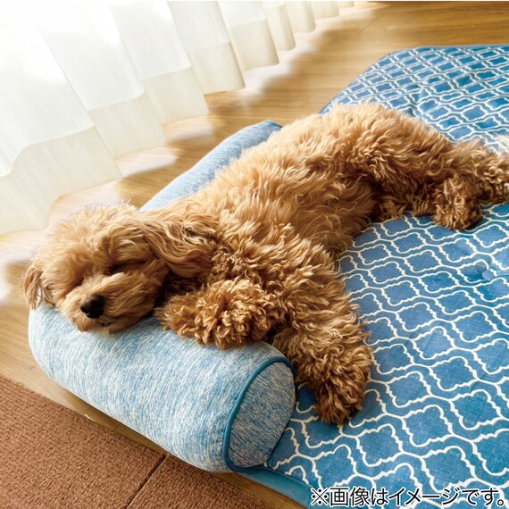 ペット消臭・滑り止め付き 接触冷感ペットあごのせ枕付マット L (NクールWSP L S253) 3枚目画像
