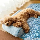 ペット消臭・滑り止め付き 接触冷感ペットあごのせ枕付マット L (NクールWSP L S253) 3枚目画像