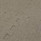 制菌・抗菌防臭 滑り止め付 起毛パズルマット 9枚 (ブラウン SN01 9P0.8) 7枚目画像