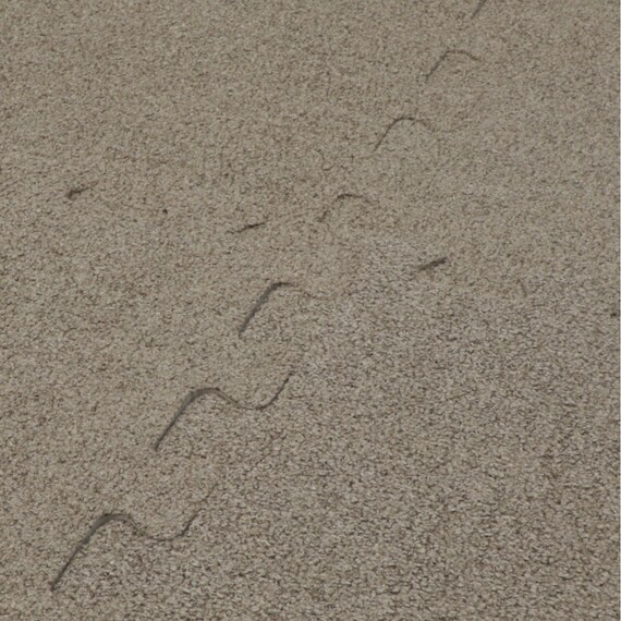 制菌・抗菌防臭 滑り止め付 起毛パズルマット 9枚 (ブラウン SN01 9P0.8) 7枚目画像