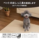 制菌・抗菌防臭 滑り止め付 起毛パズルマット 4枚 (ベージュ SN01 4P0.8) 3枚目画像