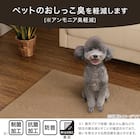 制菌・抗菌防臭 滑り止め付 起毛パズルマット 4枚 (ブラウン SN01 4P0.8) 3枚目画像