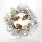 リース(ホワイトゴールド60cm n5AN) 1枚目画像