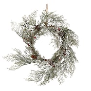 スノーリース(D n5RC)