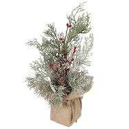 ミニスノーツリー(D n5RC)