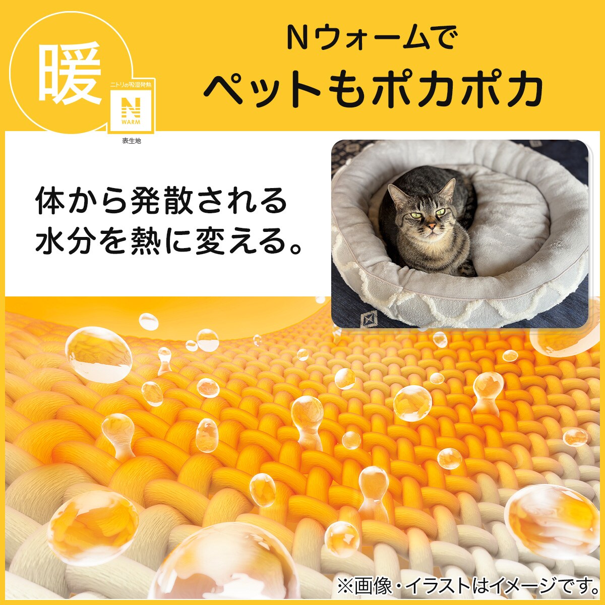 ペットベッド 四角型 L(Nウォーム MR2531 L) | ニトリネット