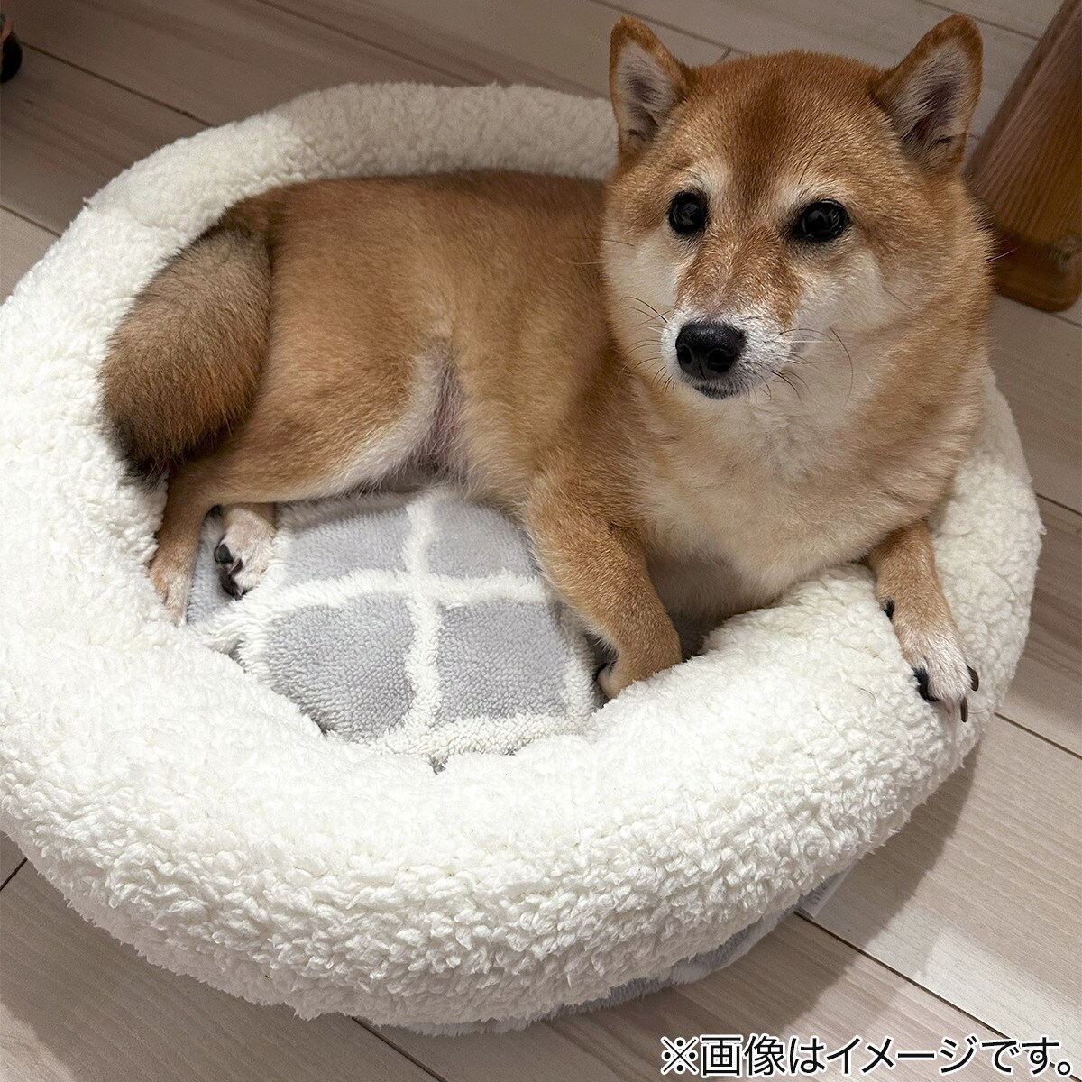 折って高さを調整できる ペットベッド M(Nウォーム MR2531 M) | ニトリ