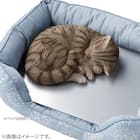 ペット用 ひんやりアルミプレート(RPP) 4枚目画像