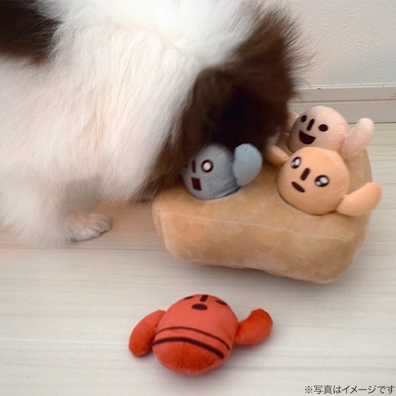 スライダー画像