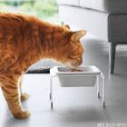 スマートデザイン ペット食器(シングル) 2枚目画像