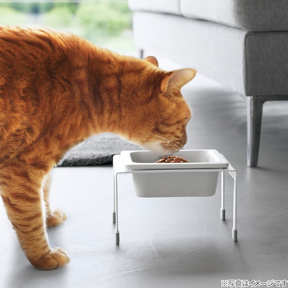 スマートデザイン ペット食器(シングル) 2枚目画像
