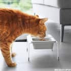 スマートデザイン食器(ダブル) 2枚目画像