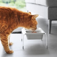 スマートデザイン食器(ダブル)