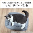 ペットベッド 四角型 M(PLAIN M グレー) 3枚目画像