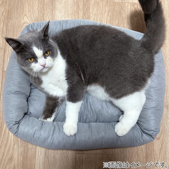 ペットベッド 四角型 M(PLAIN M グレー) 5枚目画像