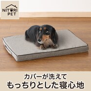 低反発 やわらか ペットマット(グレー 01)